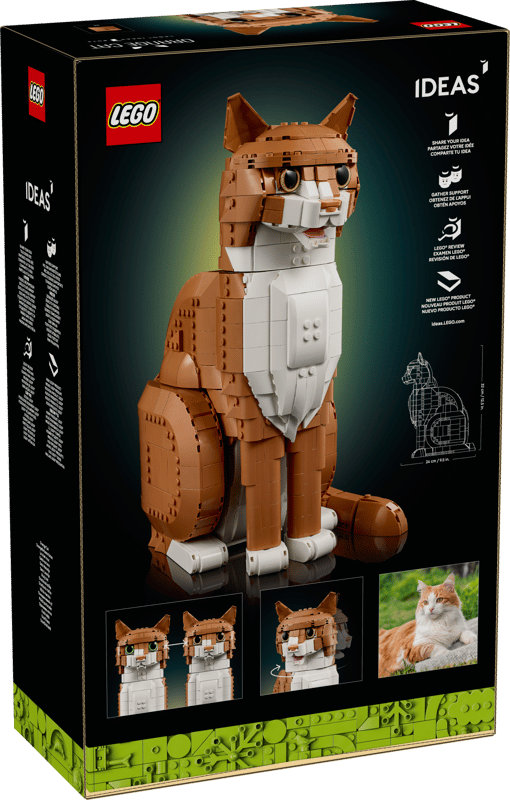 Orange Cat