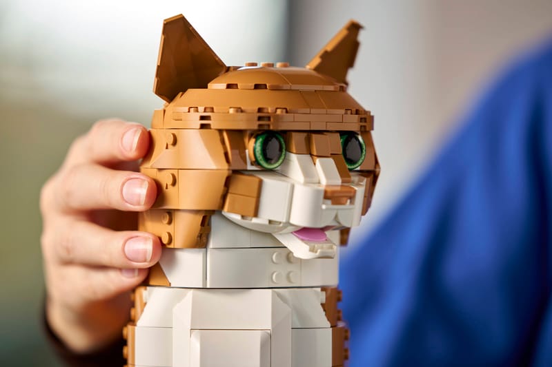Orange Cat