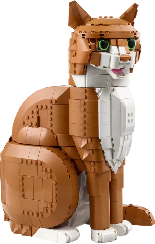 Orange Cat