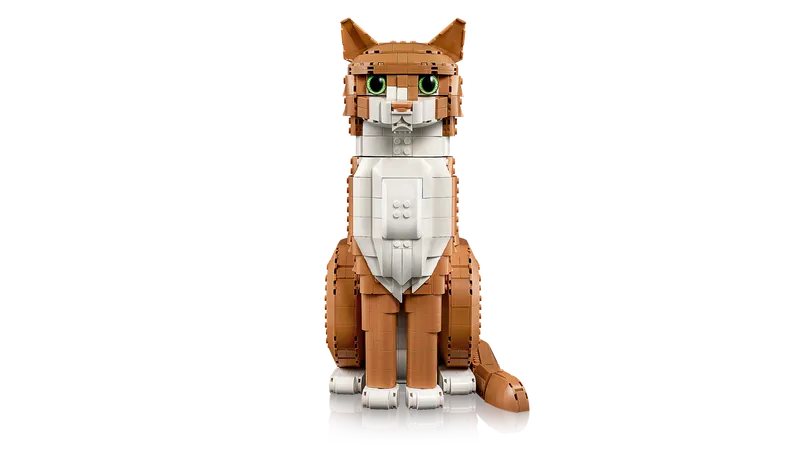 Orange Cat