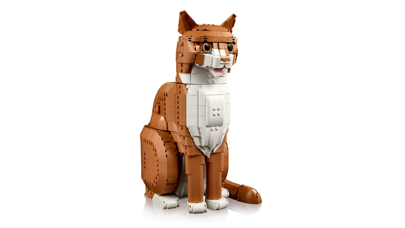 Orange Cat