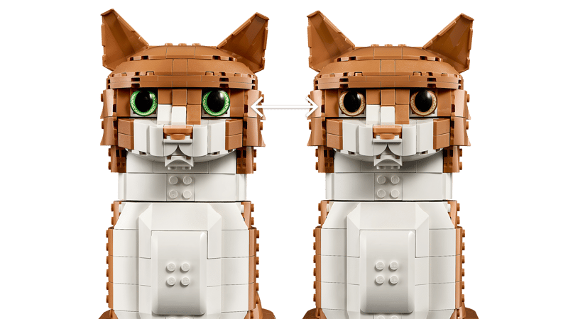 Orange Cat