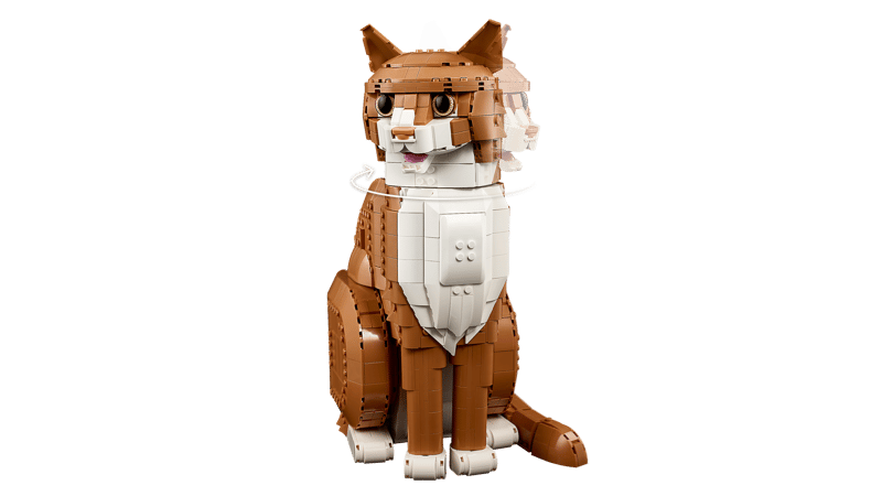 Orange Cat