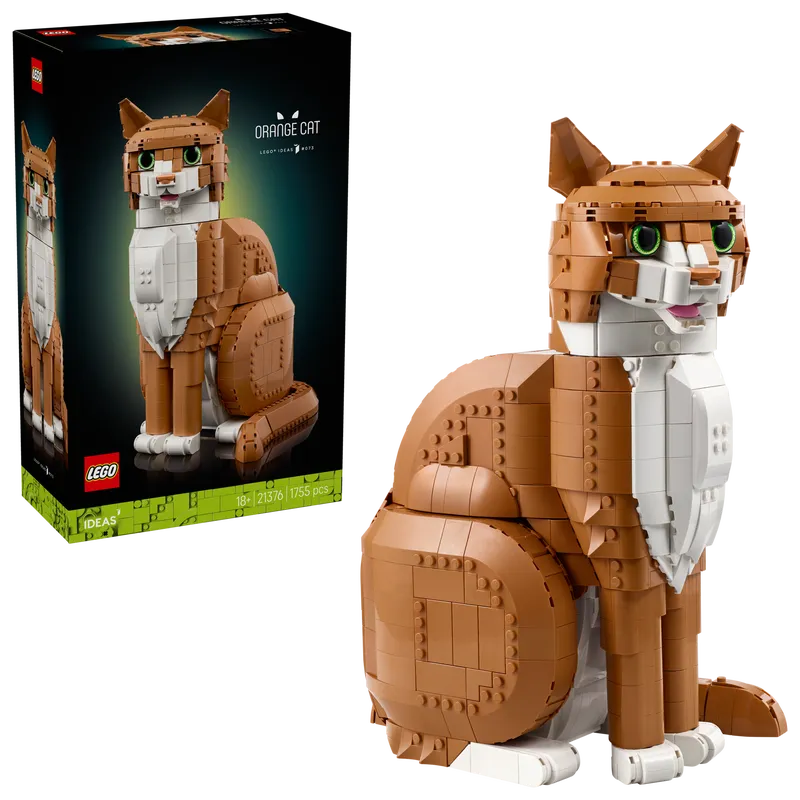 Orange Cat