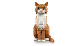 Orange Cat