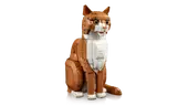 Orange Cat