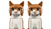 Orange Cat