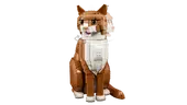 Orange Cat