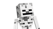 The Skeleton