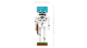 The Skeleton