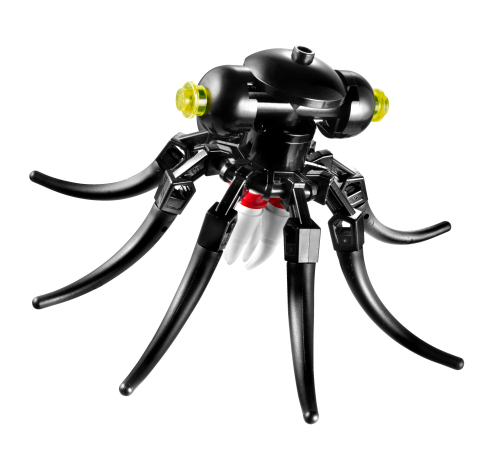 Octopus