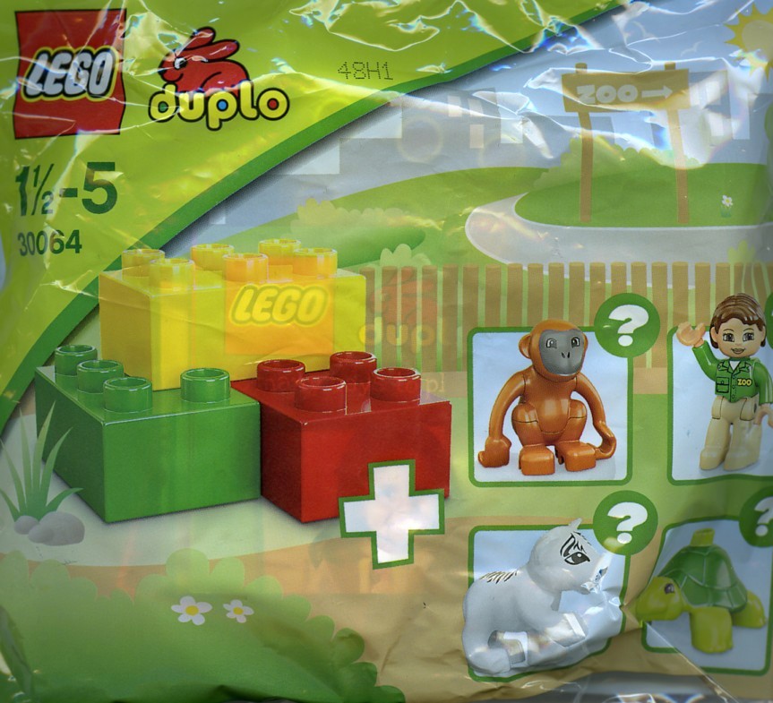 Zoo - Monkey