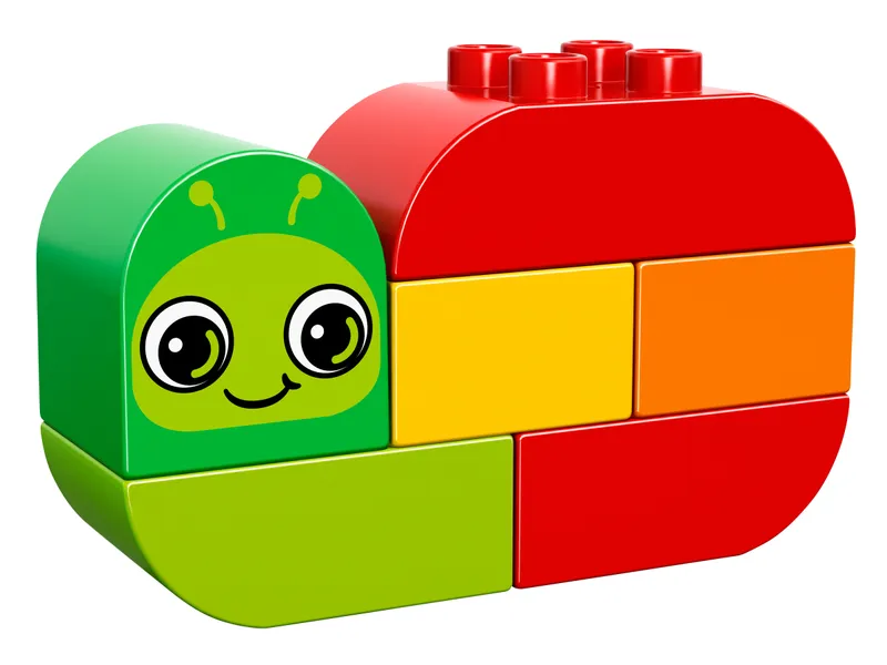 Snail