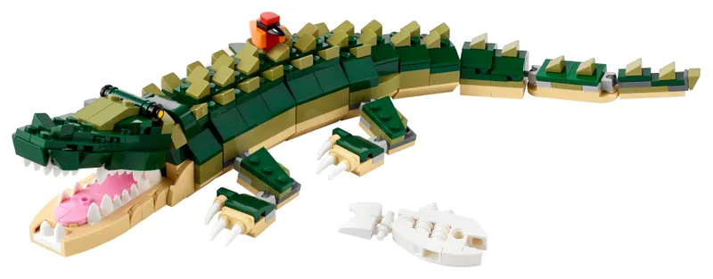 Crocodile