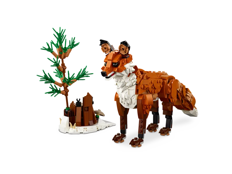 Forest Animals: Red Fox