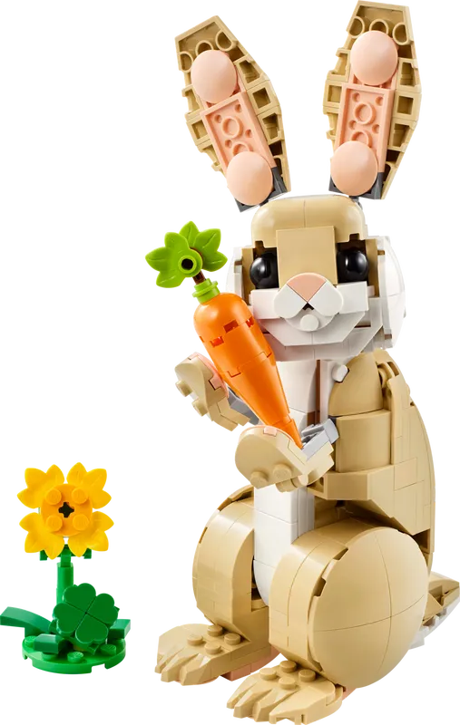 Cute Bunny