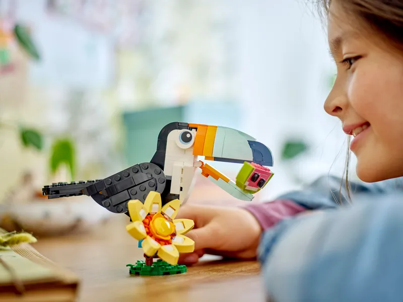 Wild Animals: Tropical Toucan