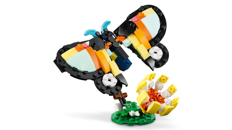 Wild Animals: Tropical Toucan