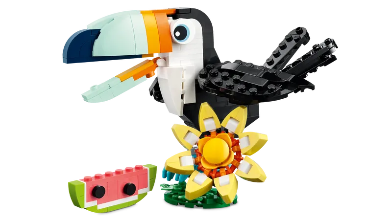 Wild Animals: Tropical Toucan
