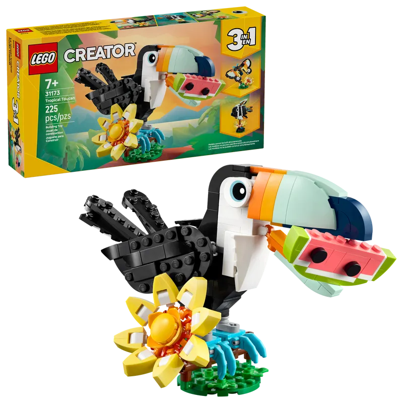 Wild Animals: Tropical Toucan