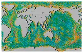 World Map