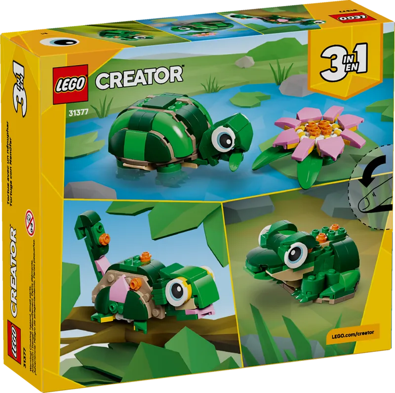 Turtle with a Water Lily Flower