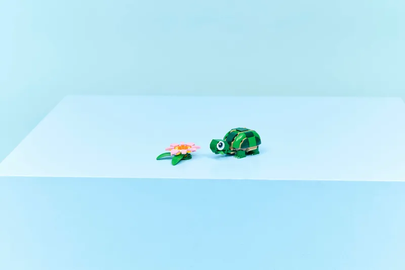 Turtle with a Water Lily Flower