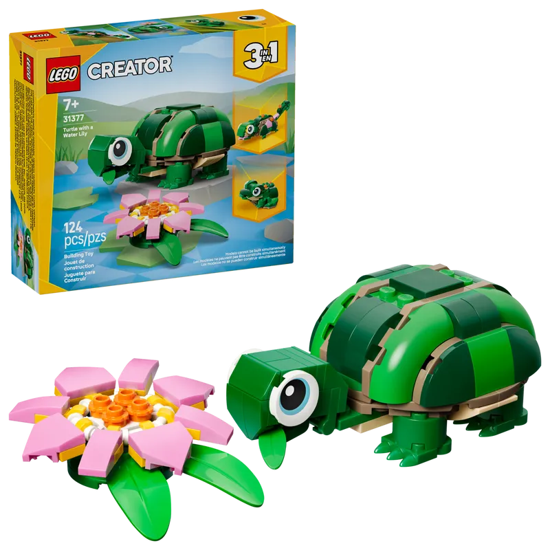 Turtle with a Water Lily Flower