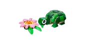 Turtle with a Water Lily Flower