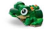 Turtle with a Water Lily Flower