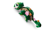 Turtle with a Water Lily Flower