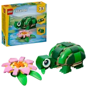 Turtle with a Water Lily Flower