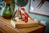 Fierce Dinosaur