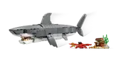 Fierce Shark with a Treasure Chest
