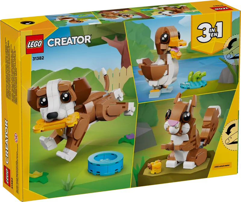 Cute Animals: Playful Puppy Dog
