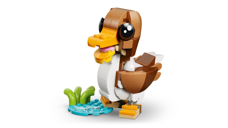 Cute Animals: Playful Puppy Dog