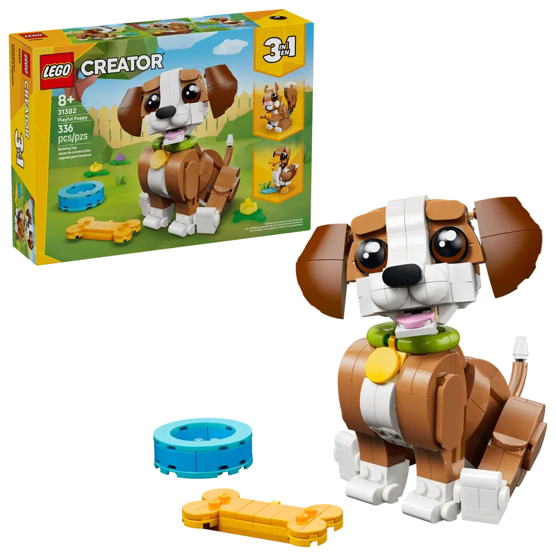 Cute Animals: Playful Puppy Dog