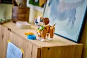 Cute Animals: Playful Puppy Dog