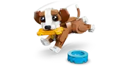 Cute Animals: Playful Puppy Dog