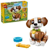 Cute Animals: Playful Puppy Dog