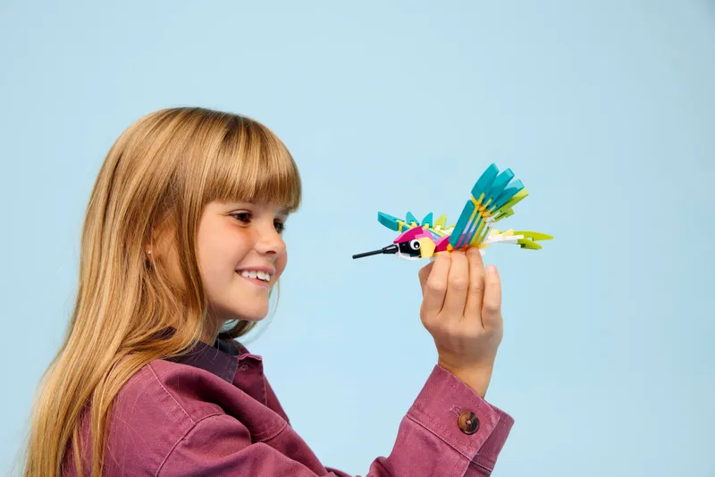 Wild Animals: Colorful Hummingbird
