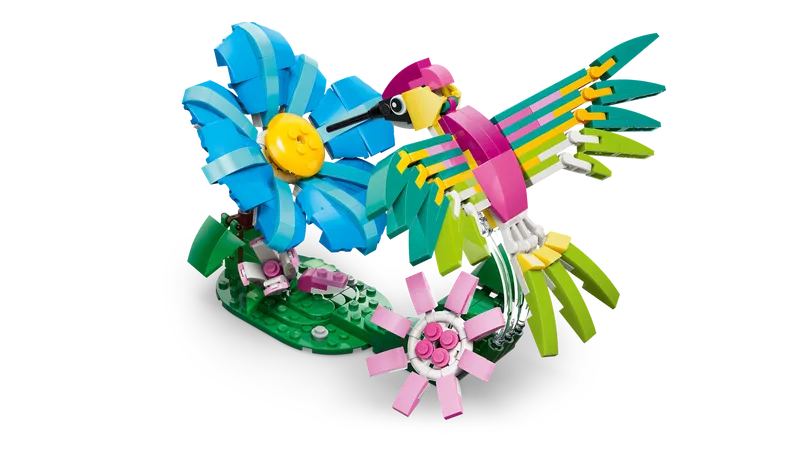 Wild Animals: Colorful Hummingbird