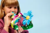 Wild Animals: Colorful Hummingbird