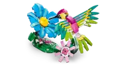 Wild Animals: Colorful Hummingbird
