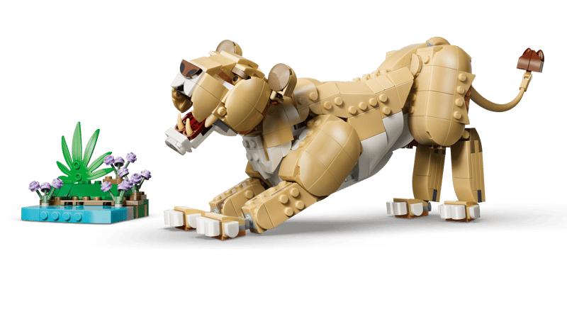 Wild Animals: Majestic Lion