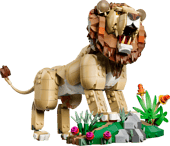 Wild Animals: Majestic Lion