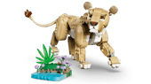 Wild Animals: Majestic Lion