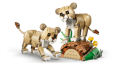 Wild Animals: Majestic Lion