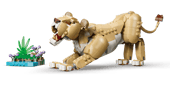 Wild Animals: Majestic Lion