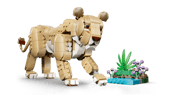 Wild Animals: Majestic Lion